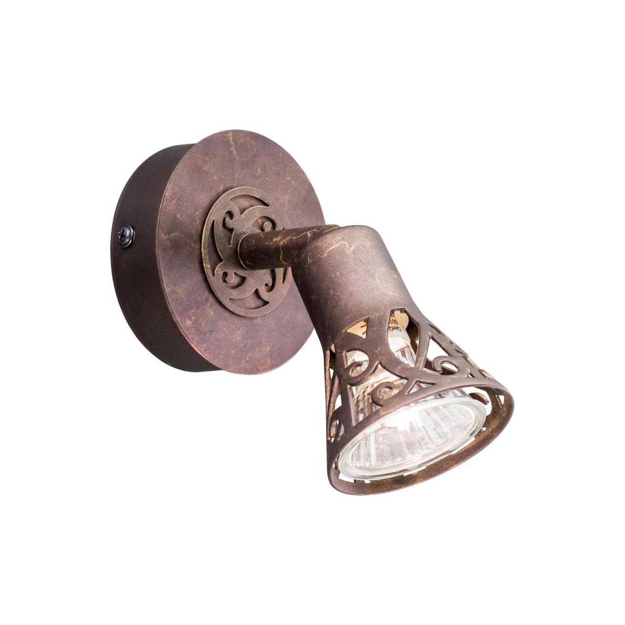 Спот CITILUX Винон CL519514