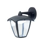 Уличный светильник CITILUX CLU04W2