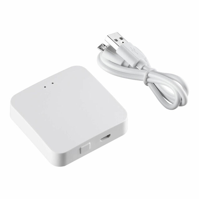 NOVOTECH 359392 KONST NT24 черный Шлюз Tuya Smart Life IP20 GLAT