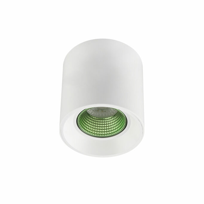 DENKIRS DK3090-WH+GR Светильник накладной IP 20, 10 Вт, GU5.3, LED, белый зеленый, пластик