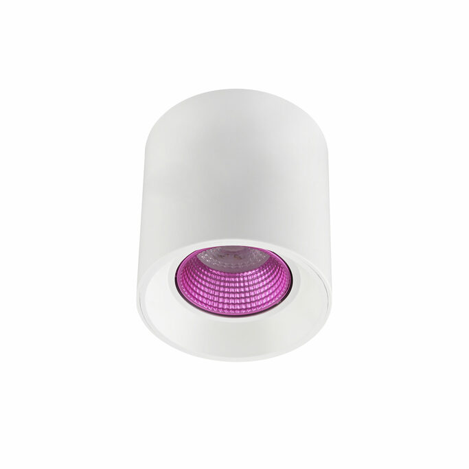 DENKIRS DK3090-WH+PI Светильник накладной IP 20, 10 Вт, GU5.3, LED, белый розовый, пластик