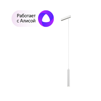DENKIRS DK8008-WH Подвесной светильник SMART HANG 9W DIM 2700K-6000K белый