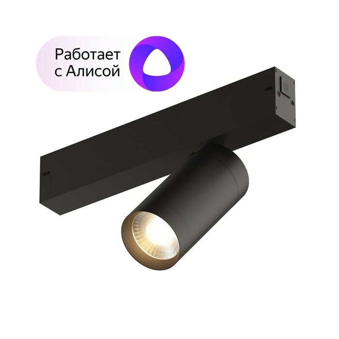 DENKIRS DK8010-BK Акцентный светильник SMART SPOT 9W DIM 3000K-6000K черный