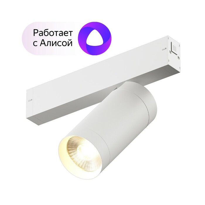 DENKIRS DK8020-WH Акцентный светильник SMART SPOT 20W DIM 3000K-6000K белый