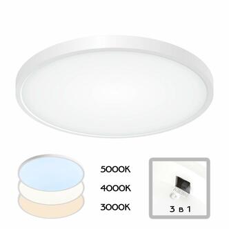 Тарелка CITILUX Бейсик CL738320V
