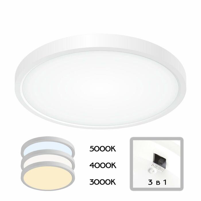 Тарелка CITILUX Бейсик CL738240V