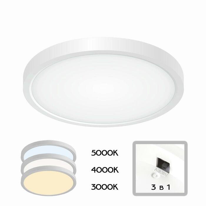 Тарелка CITILUX Бейсик CL738180V