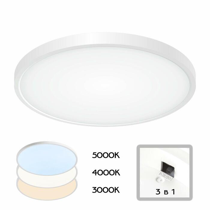 Тарелка CITILUX Бейсик CL738320V