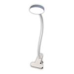 Лампа настольная CITILUX Ньютон CL803070N