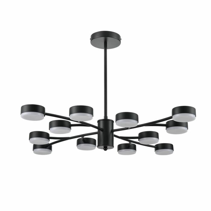Люстра LUMION TORINA 8117/12