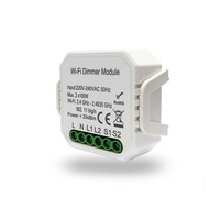 DENKIRS RL1004-DM Двухканальное Wi-Fi реле-диммер 2 x 100 Вт