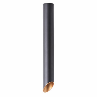 Точечный светильник ARTE LAMP PILON-GOLD A1537PL-1BK