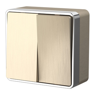 Werkel W5020010  Выключатель двухклавишный Gallant (шампань рифленый)