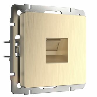 Werkel W1181010  Розетка Ethernet RJ-45 (шампань рифленый)