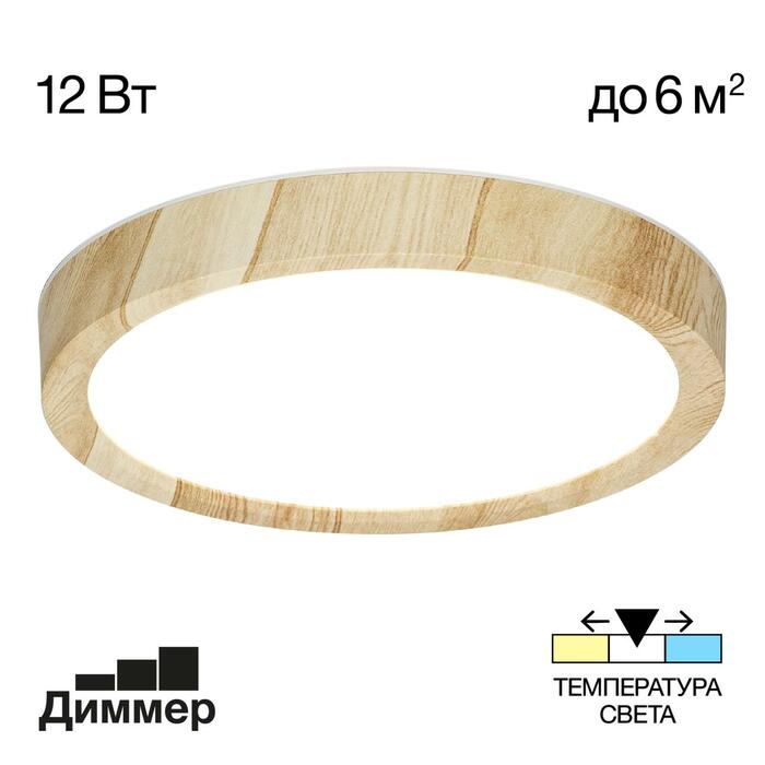Тарелка CITILUX Бейсик CL738122N