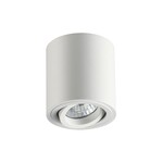 Точечный светильник ODEON TUBORINO 3567/1C