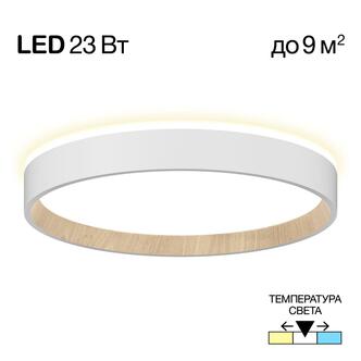 Тарелка CITILUX ETALON CL750240