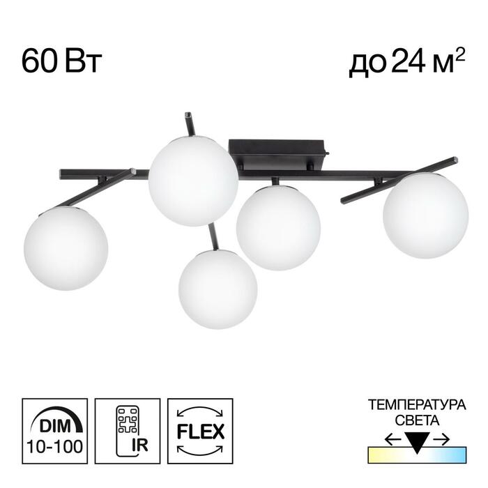Люстра CITILUX DORSY CL223152