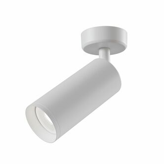 Точечный светильник MAYTONI FOCUS C017CW-01W