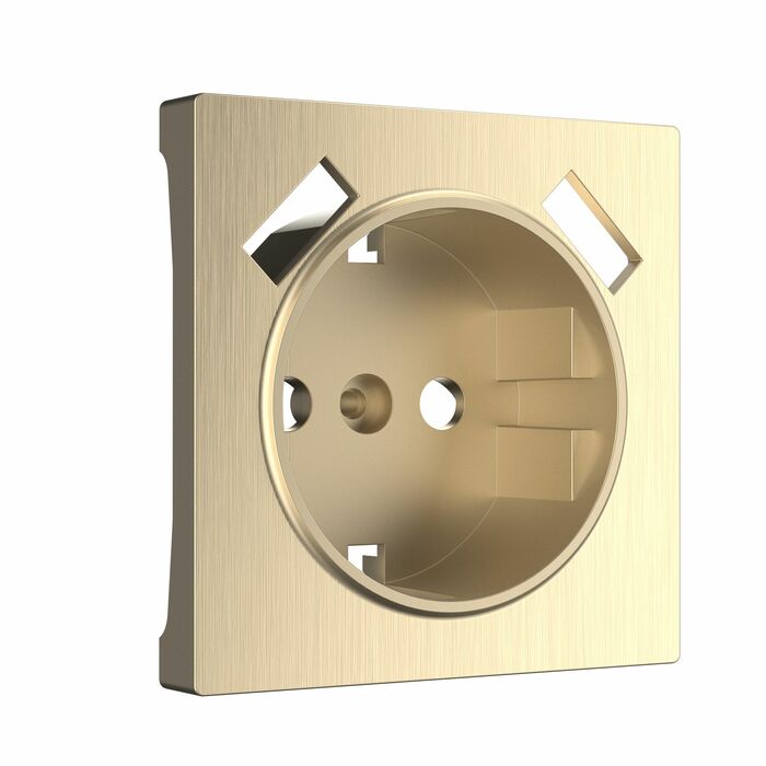 Werkel W1179510  Накладка для розетки USB (шампань рифленый)