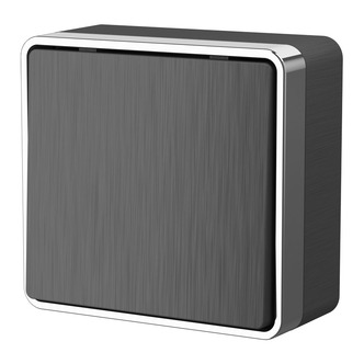 Werkel W5010004  Выключатель одноклавишный Gallant (графит рифленый)