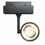 Трековая система MAYTONI Track lamps TR024-2-10B3K