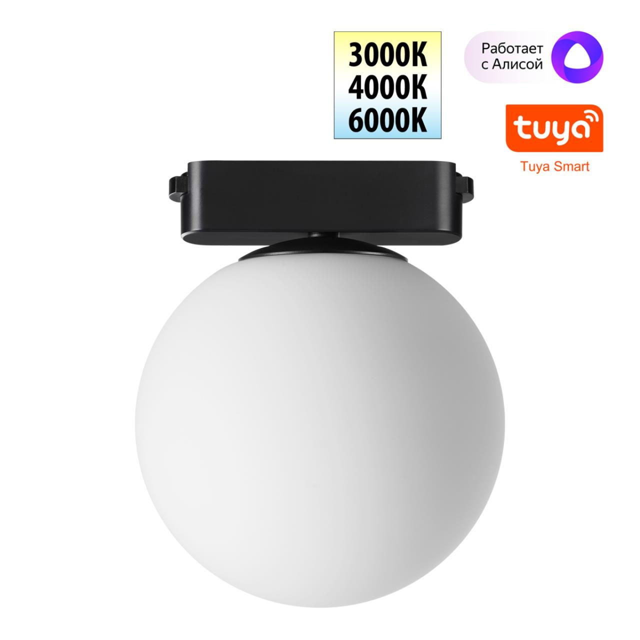 NOVOTECH 359478 SHINO NT24 000 черный Трековый смарт-светильник для низковольтного шинопровода с дву