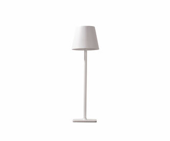 Лампа настольная KINK LIGHT Никки 07203-T,01