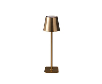 Лампа настольная KINK LIGHT Никки 07203-T,20