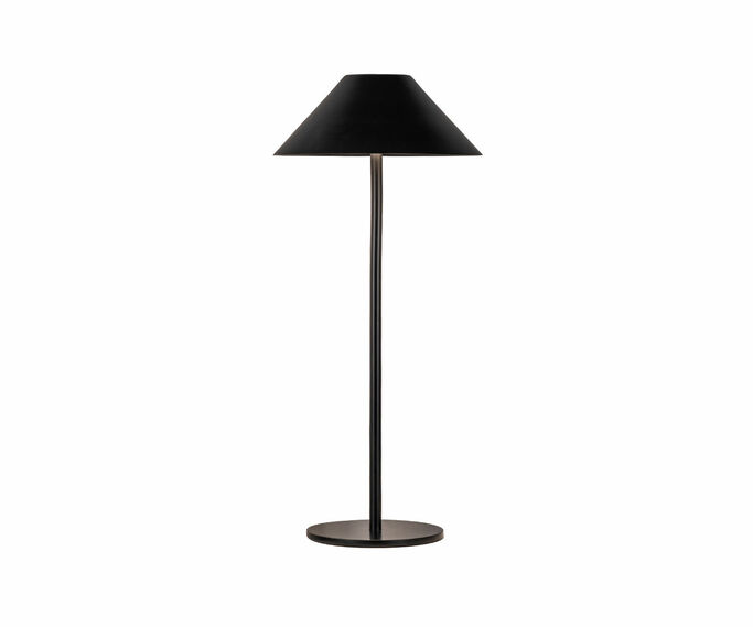 Лампа настольная KINK LIGHT Паола 07210-T,19