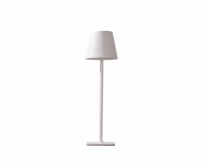 Лампа настольная KINK LIGHT Никки 07203-T,01