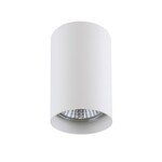 Точечный светильник LIGHTSTAR Rullo 214436